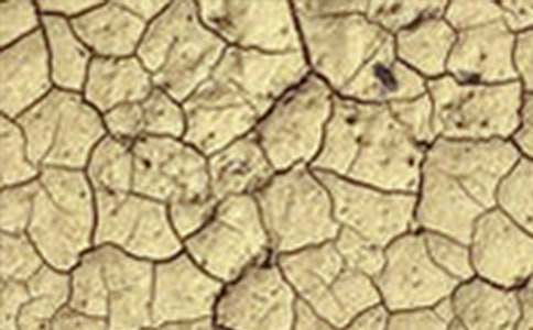 世界防止荒漠化和干旱日:保護綠色家園倡議書