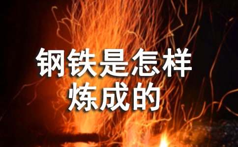 《鋼鐵是怎樣煉成的》讀書筆記(精選28篇)