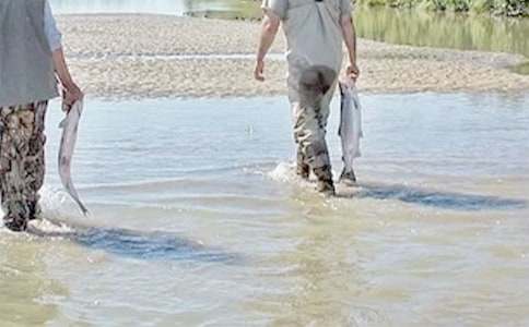 我的鐵哥們作文