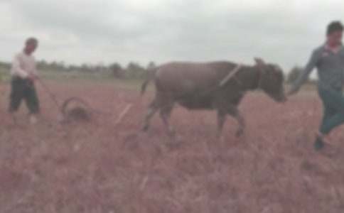 享受耕田生活的古詩