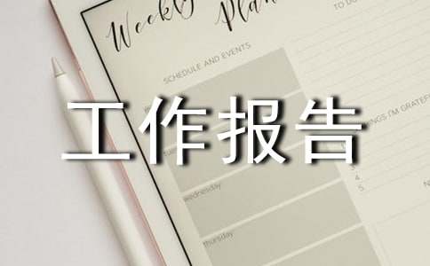 總經理工作報告總結