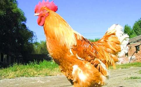 ����Ǻʹ��uͯԒ����400��