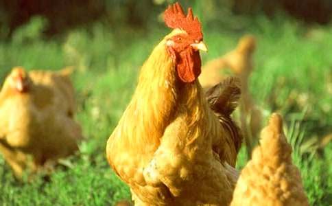 С���uͯԒ���ļ��\13ƪ