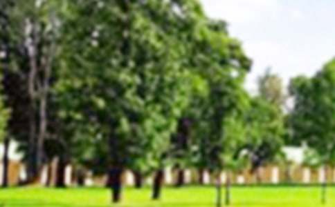 ��ꖹ��@���[����400�֣����x20ƪ��