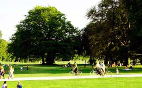 公園一角作文通用15篇