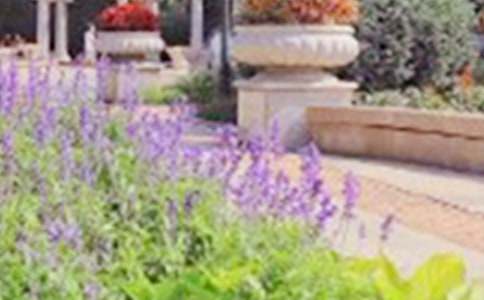 �P���ι��@�����ķ���