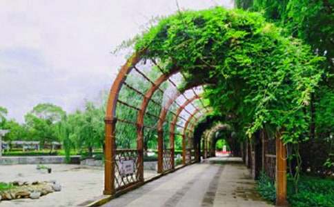 �����]���º����@����