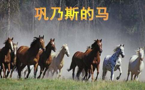 鞏乃斯的馬課文原文