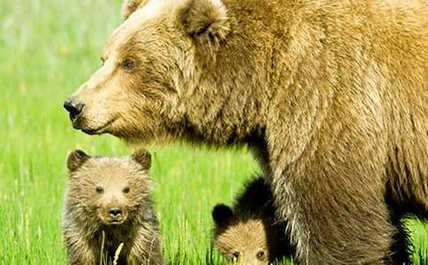 ���P��������500��3ƪ