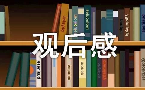 《愛,應會永在》的觀后感作文2000字