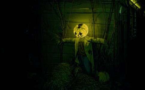 ��������800��