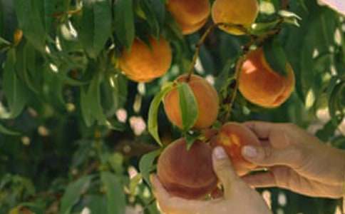 �����Ĺ��@����600��