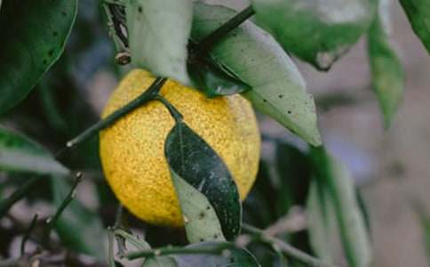 ���x���@����500����ƪ