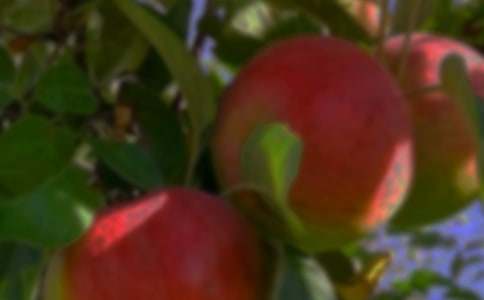 �ٹ��@֮������600�֣����x23ƪ��