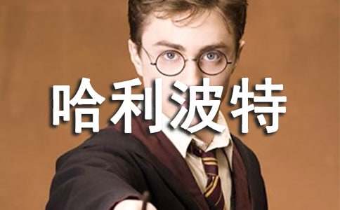 �����T���������ǹ�����������