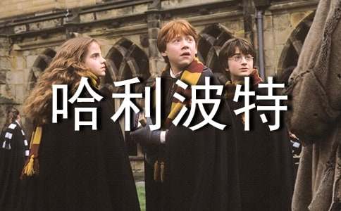 哈利波特給了我力量初中作文800字