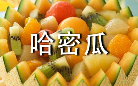 哈密瓜命運的啟示作文800字