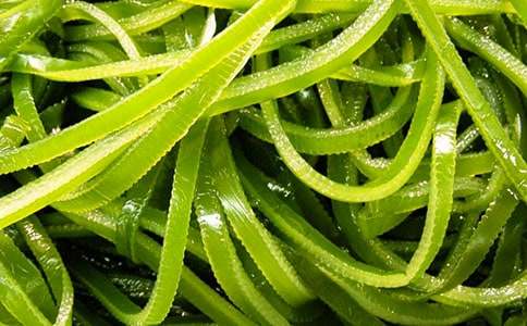 干海帶經銷合同