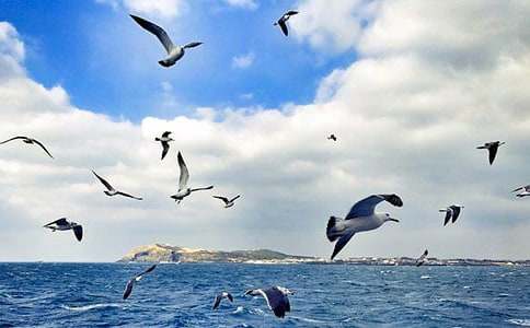 �L���е���ֻ���t����900��