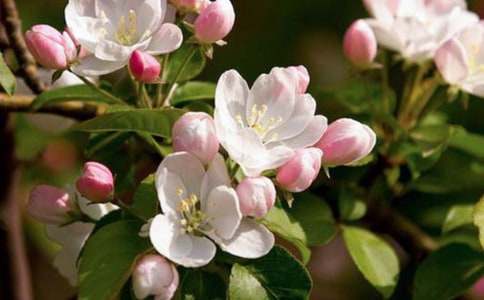 ���~�����^���500��