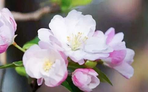 �����еĺ�������4ƪ