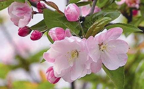 ���F�����ǘ������������