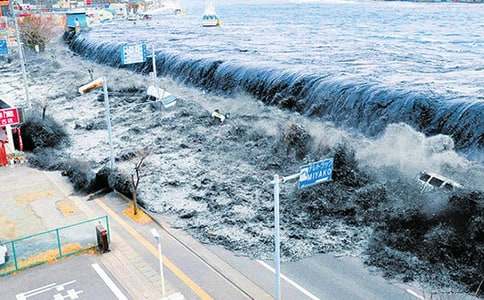 為海嘯災民獻愛心作文