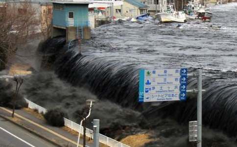 ���[�c��������