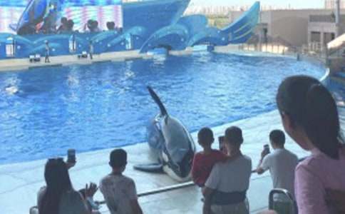 �ϻ������󹫈@����4ƪ