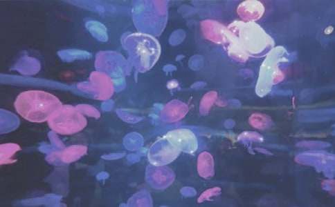 �������󹫈@֮������500�֣����x32ƪ��