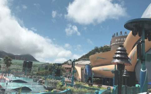 ����ۺ��󹫈@С�W���ģ����x19ƪ��