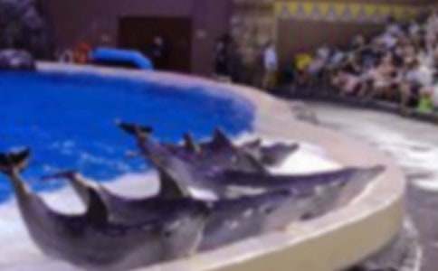 ����С�W����450��