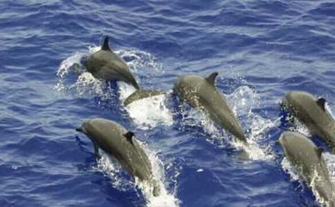 ���溣����ˮ��������