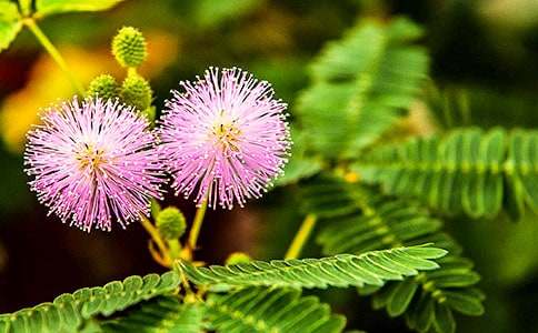 ���߲ݵ��^������