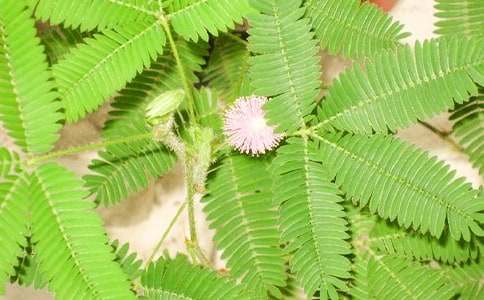 ���Һ��߲�С�W���^�����ģ����x36ƪ��