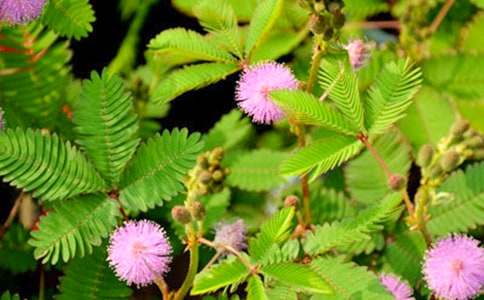 �茑���߲�����600�֣����x20ƪ��