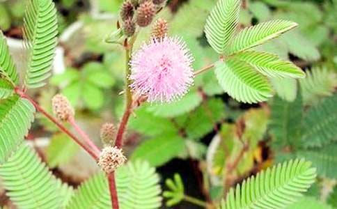 ���߲��^����ӛ400������