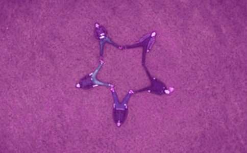 �ҵ�֪�ĺ�������550��