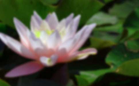 �ɻ��̌W�OӋ��ͨ��22ƪ��