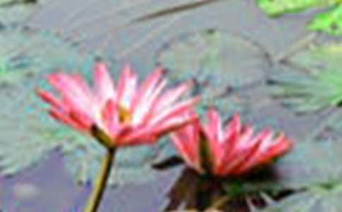 �������ºɻ����G�r