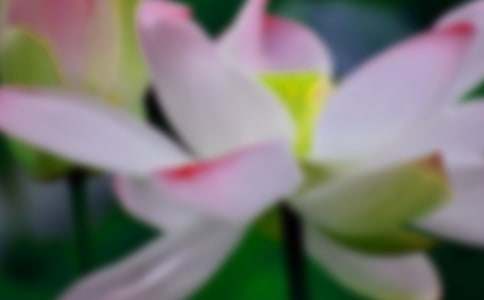 �����A���ɻ�����500��4ƪ