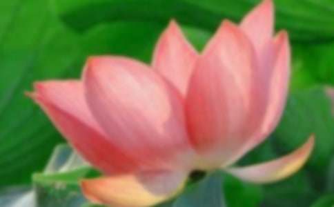 ����ϲ�g�ĺɻ���������