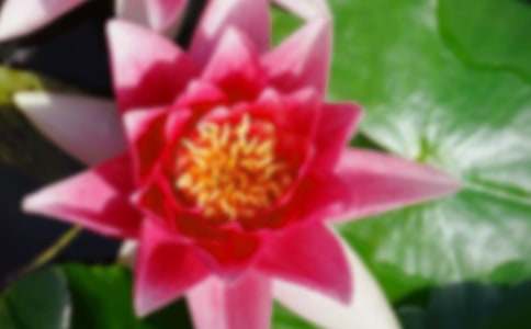 ������ĺɻ��������ģ����x28ƪ��