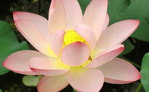 ���ģ���ϲ�g�ĺɻ�