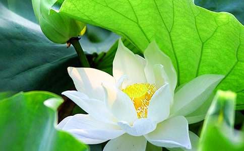 �ɻ�ٝ����300��