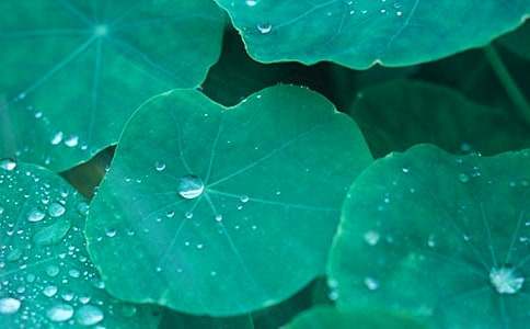 ���~�ă�������