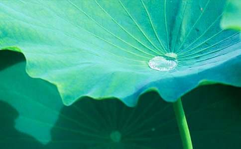 ����ĺ��~ͯԒ���ģ�ͨ��11ƪ��