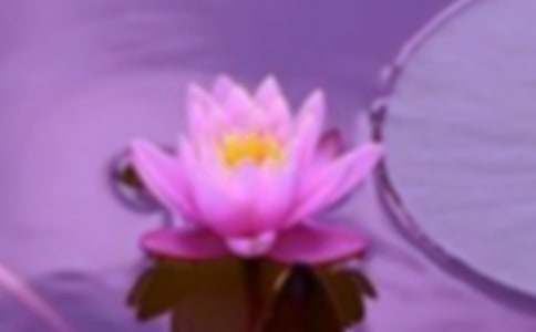 �������C�҈@���ģ�ͨ��58ƪ��