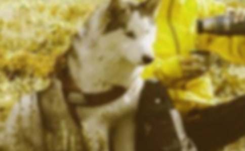 ���C��������ķ���