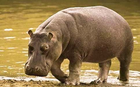 ���R����ͯԒ����